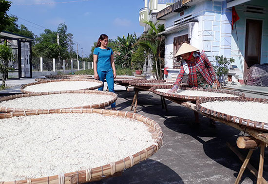 Hàng chục hộ dân ở thôn Tân Đông Tây (xã Phú Thọ) vẫn giữ nghề làm khoai chà. Ảnh: D.T