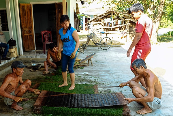 Sau đó người ta dậm thuốc để khi đưa vào liếp có độ kết dính.