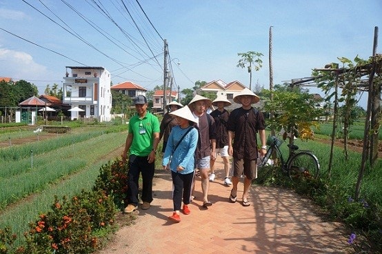 Visitors to Tra Que vegetable village