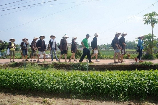 Foreigners are interested in visiting Tra Que vegetable village.