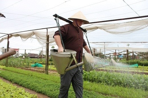 … and to water vegetables.