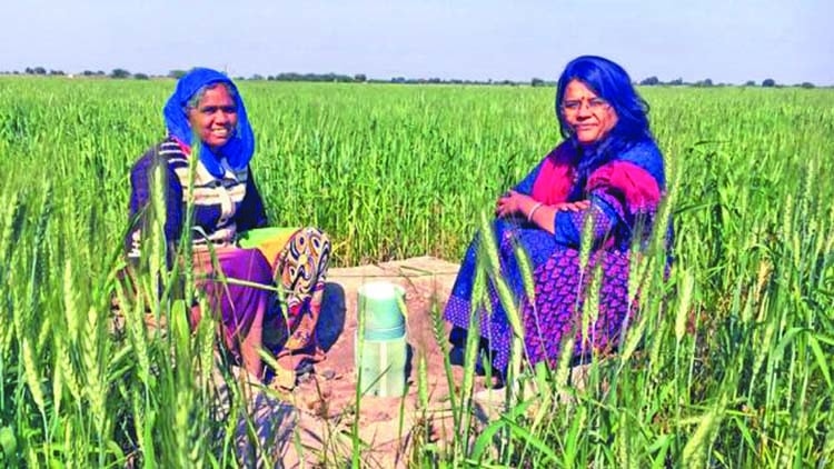 Kaser Behan bên hệ thống trữ nước mưa cho mùa khô tại Gujarat.