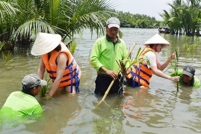 Tourists are interested in planting nipa palms in Cam Thanh. Photo: TN&MT