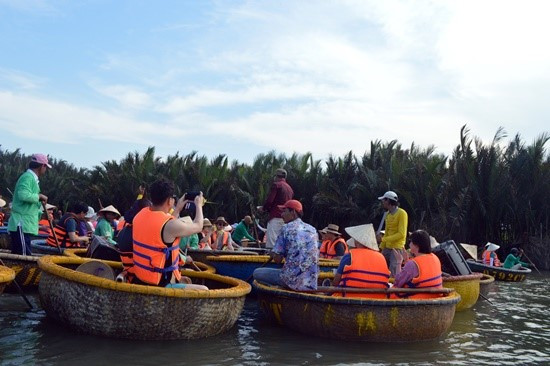 Numerous tourists to Cam Thanh nipa forest