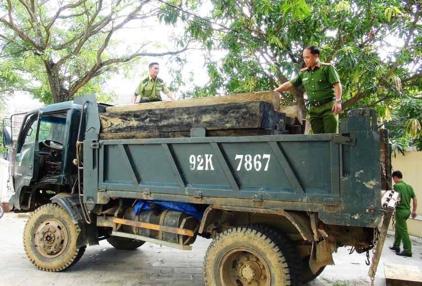 Số gỗ tang vật.