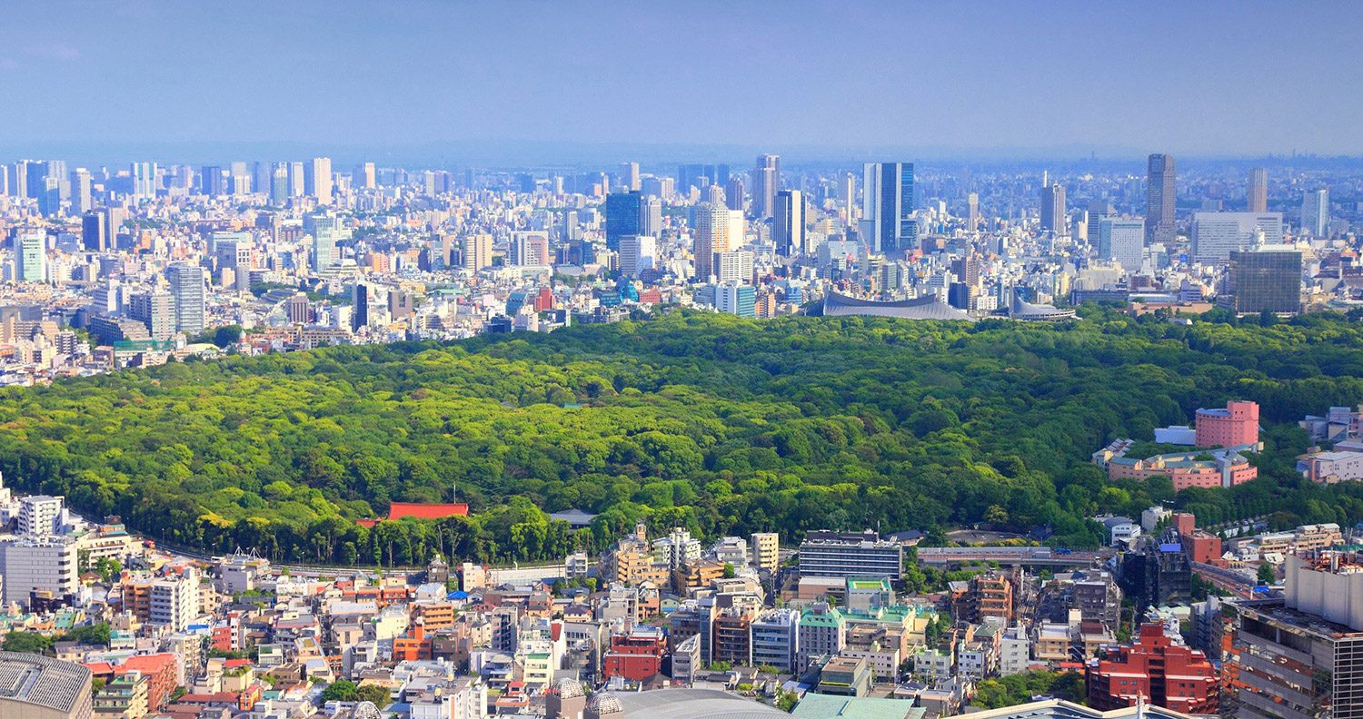 Yoyogi - một trong những công viên rộng lớn giữa lòng Tokyo. Ảnh: TheTimes