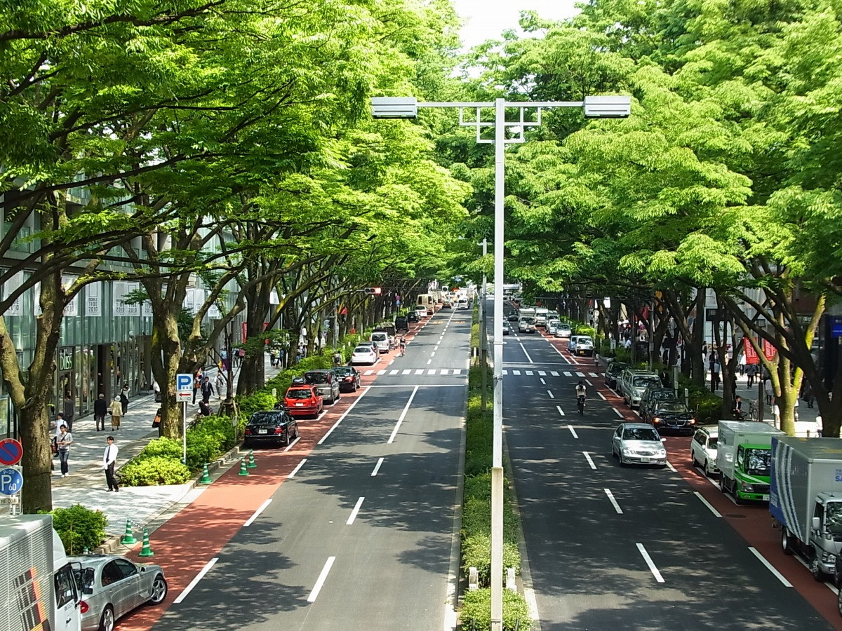 Cây xanh phủ lối đường phố tại Tokyo. Ảnh: tohokuandtokyo