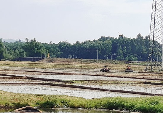 Nhiều địa phương trong huyện Đại Lộc đang làm đất chuẩn bị xuống giống. Ảnh: H.L