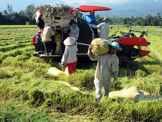 Thời gian qua, nhờ sự tiếp sức từ nhiều phía, nông dân huyện Nông Sơn có điều kiện đẩy mạnh cơ giới hóa nông nghiệp. Ảnh: N.S