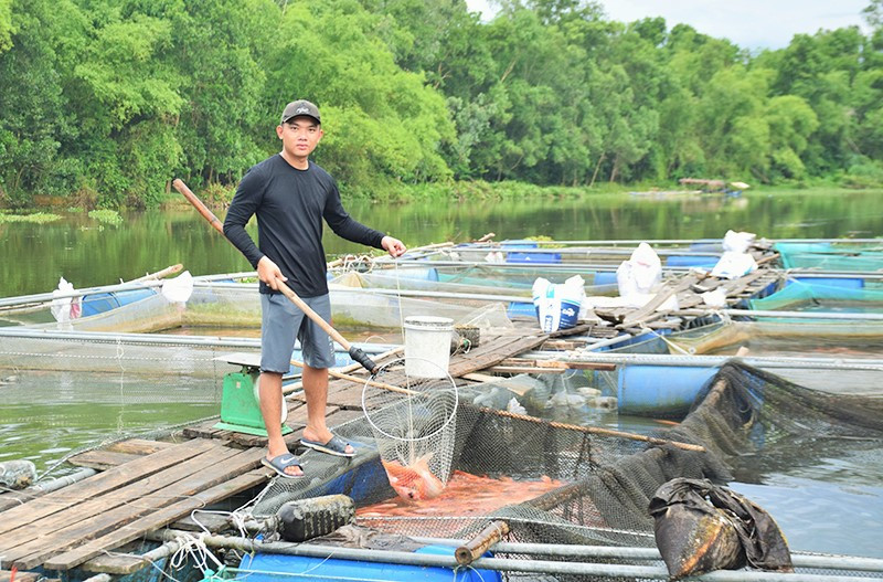 Anh Nguyễn Văn Nghĩa bên mô hình cá lồng bè tại sông Tam Kỳ. Ảnh: