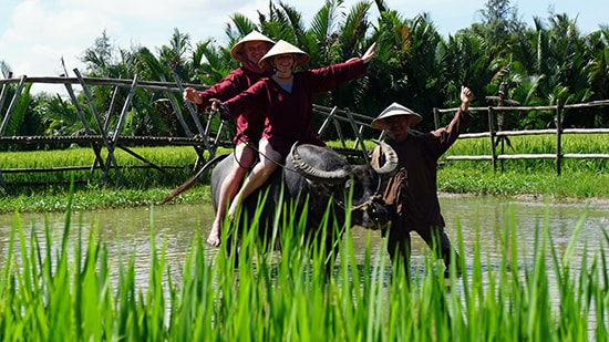 Du lịch cộng đồng Cẩm Thanh (Hội An) - một trong những sản phẩm dự kiến tham gia OCOP thuộc nhóm dịch vụ du lịch nông thôn - bán hàng. Ảnh: J.T