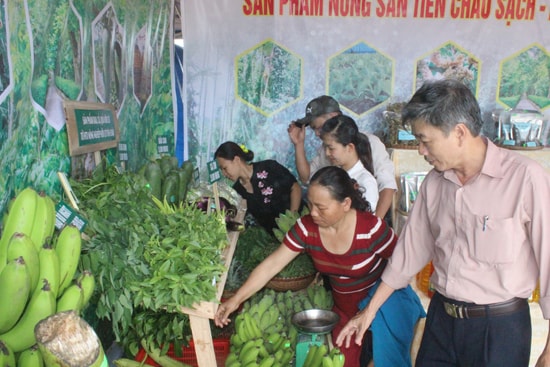 Các sản phẩm rau, quả sạch từ nhà vườn thu hút người chọn mua. Ảnh: D.L