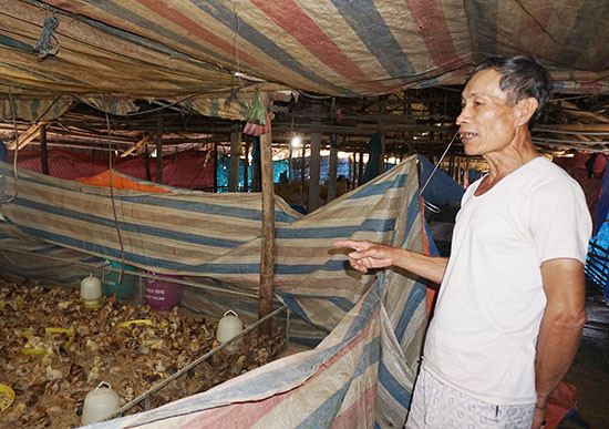 Không chỉ làm kinh tế giỏi, cựu chiến binh Phùng Tấn Trưng còn tích cực tham gia hoạt động xã hội. Ảnh: NHƯ TRANG