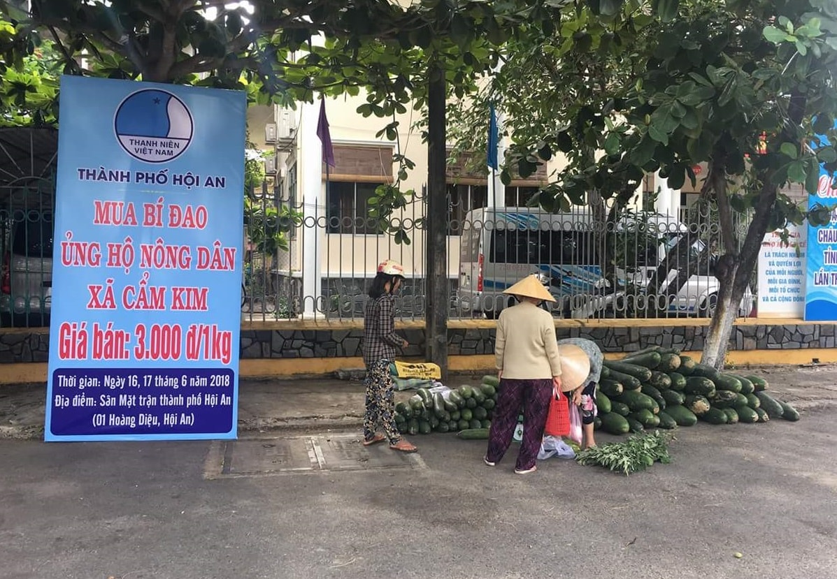 Hỗ trợ nông dân xã Cẩm Kim. Ảnh: Công Định.