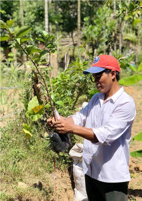 Một người dân huyện Bắc Trà My chuẩn bị trồng giống cây ổi không hạt sau khi được các đoàn viên thanh niên của Trường Cao đẳng Kinh tế - kỹ thuật tập huấn, chuyển giao kỹ thuật. Ảnh: PHAN TUẤN