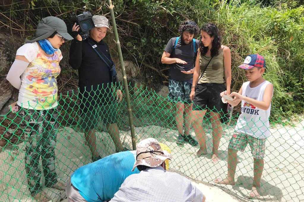 Hatching turtle eggs in Bai Bac (Cham Islands)