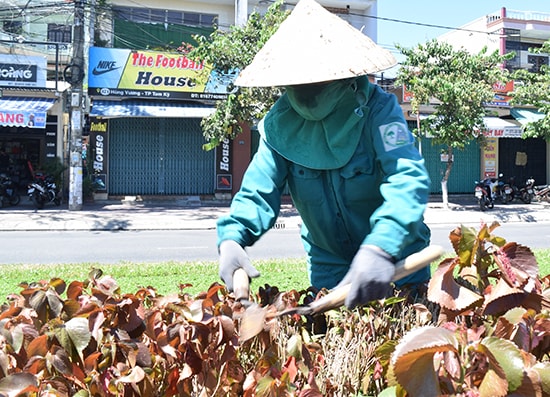 Cô Hà mặc kín đồ bảo hộ chăm sóc cây dưới trời nắng nóng.