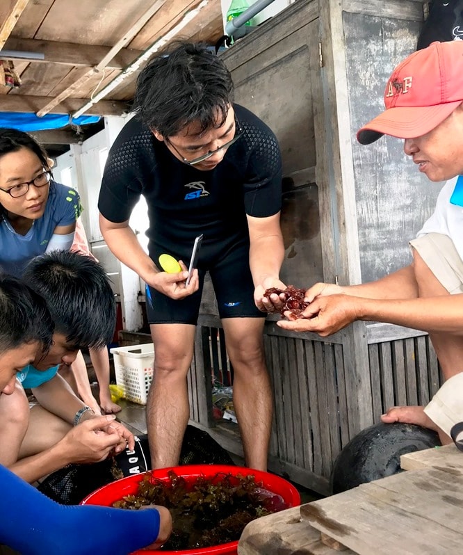 Lấy mẫu rong biển về kiểm tra.