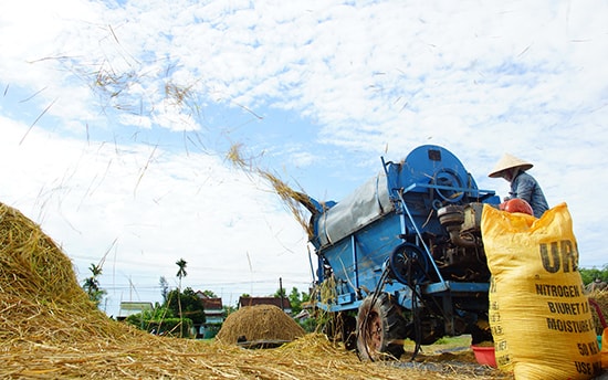 Nhờ nước tưới chủ động và chú trọng đầu tư thâm canh, những năm qua năng suất lúa ở nhiều địa phương liên tục tăng mạnh. Ảnh: PHƯƠNG THẢO