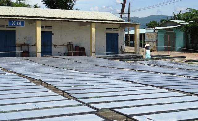 Drying rice paper under the sun.