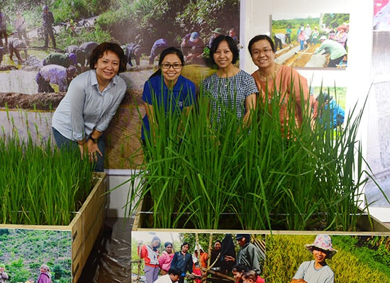 Bà Nobuko Otsuki - Trưởng đại diện FIDR tại Đà Nẵng (ngoài cùng bên trái) và các cộng sự ở FIDR đang chuẩn bị cho Tuần lễ kỷ niệm 20 năm thành lập tổ chức này. Ảnh: Q.TUẤN