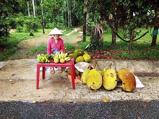 Người dân huyện Tiên Phước bán mít dọc đường.