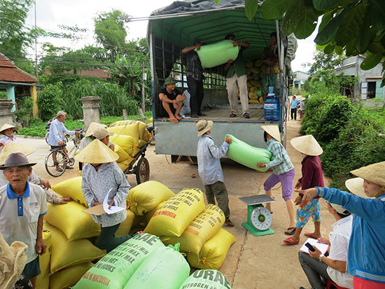 Bình quân mỗi năm nông dân trên địa bàn tỉnh hợp tác với các doanh nghiệp sản xuất 3.500 - 4.000ha giống lúa hàng hóa.Ảnh: VĂN SỰ 