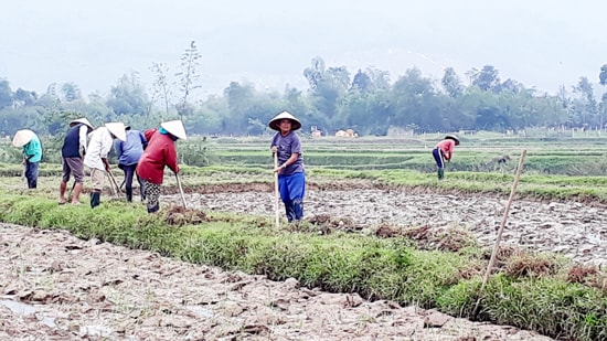 Chương trình NTM ở Quế Lộc được thuận lợi nhờ sự đồng lòng của nhân dân. Ảnh: THÔNG VINH