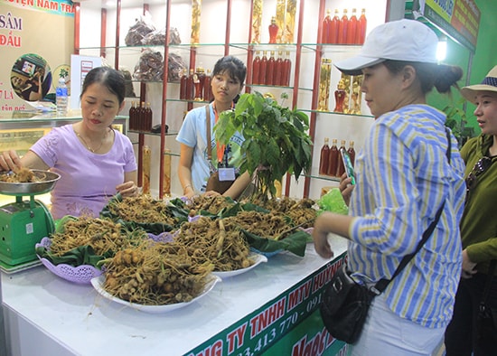 Những củ sâm chất lượng đã được đưa đến lễ hội sâm lần này để phục vụ nhu cầu mua sắm của du khách.Ảnh: NGUYỄN DƯƠNG