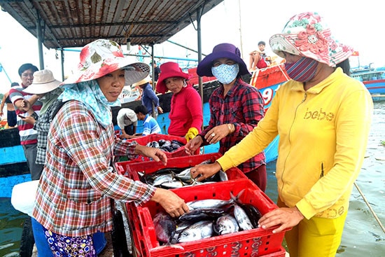 Ngành thủy sản Quảng Nam cần xác nhận nguồn gốc nguyên liệu hải sản theo khuyến nghị của EC. Ảnh: V.NGUYỄN