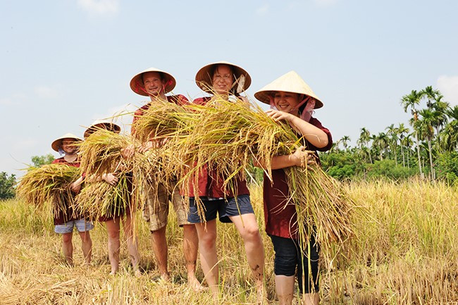 An item on a new tour in Cam Thanh