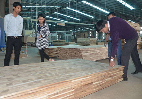 Doanh nghiệp chế biến gỗ xuất khẩu gặp khó khăn trong nguyên liệu đầu vào. TRONG ẢNH: Nhà máy chế biến gỗ MDF tại thôn Nam An Sơn (xã Quế Thọ, Hiệp Đức) của Công ty CP Gỗ công nghiệp Quảng Nam. Ảnh: T.H