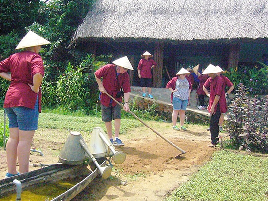 Planting vegetables in Tra Que vegetable village