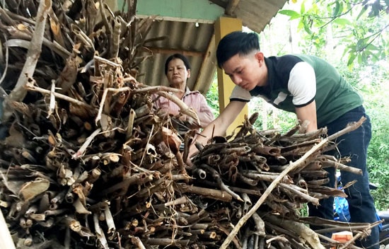 Ngoài giờ học, Tình thường xuyên về nhà phụ giúp mẹ. Ảnh: PHAN VINH