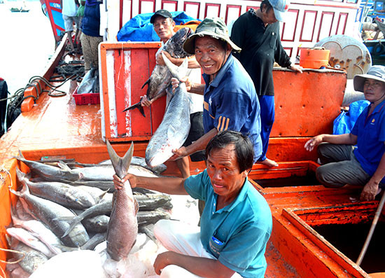Ngư dân cần tổ chức lại sản xuất để thu được giá trị kinh tế cao từ nghề cá. Ảnh: V.N