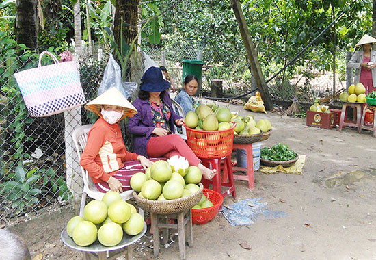 Mua bán trái cây dọc đường làng Đại Bình. Ảnh: C.N