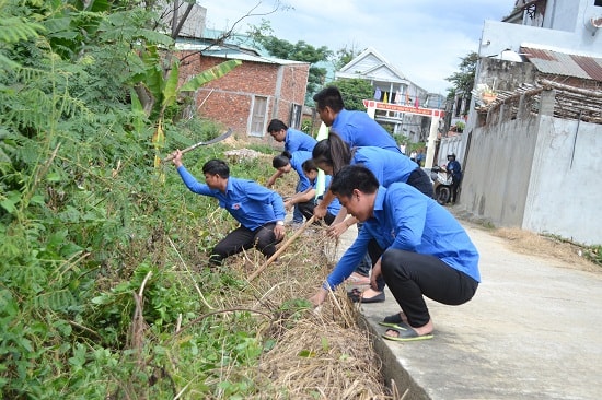 Đoàn viên thanh niên thị trấn xung kích dọn vệ sinh môi trường, chặt bỏ cây mai dương. Ảnh: KK