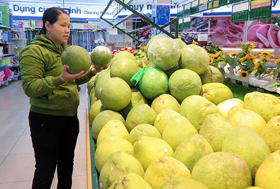 Để nông sản tìm được kênh phân phối vào các siêu thị, cửa hàng không phải chuyện dễ với nông dân. Ảnh: X.HIỀN