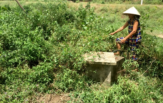 Công trình giếng khoan bị bỏ hoang, cỏ mọc um tùm. Ảnh: PHAN VINH