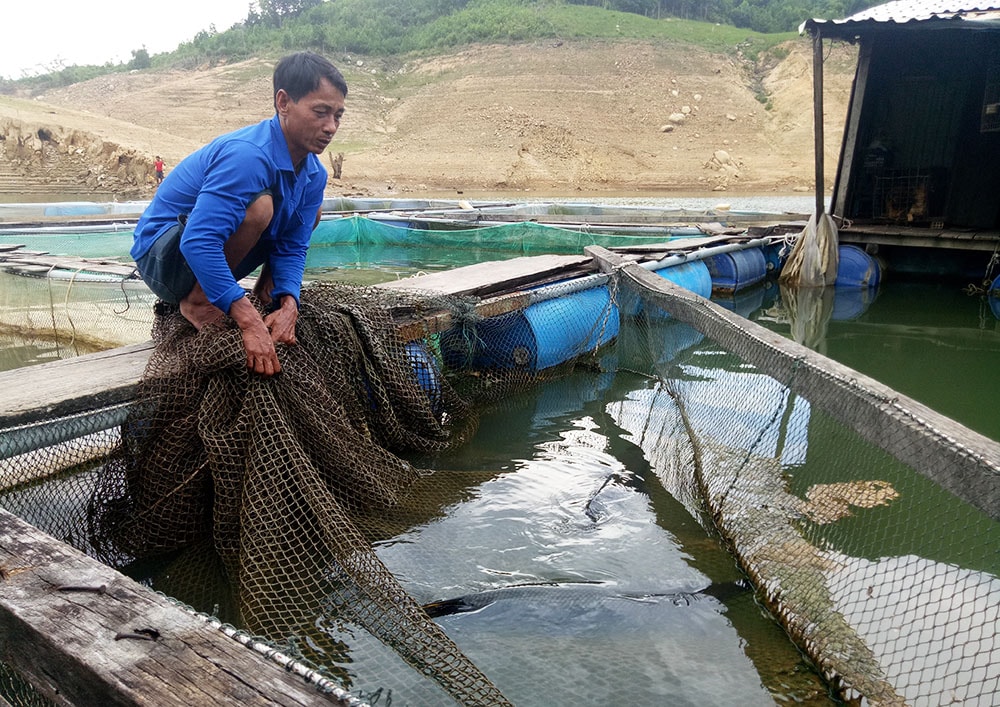 Hiện nay ông Mạo còn thả nuôi một số cá kích thước lớn. Ảnh: THANH THẮNG