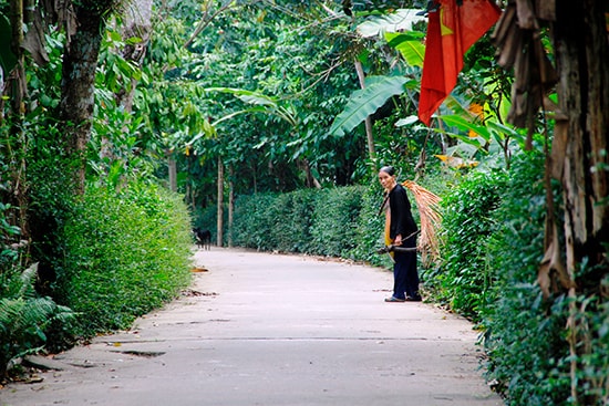 Làng Đại Bình quanh năm xanh ngát nhờ vườn cây trái.  Ảnh: C.V