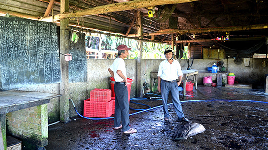 Cơ sở giết mổ bò của gia đình ông Lê Trung Cảnh (thôn Thi Thại, xã Duy Thành, Duy Xuyên) không đảm bảo vệ sinh an toàn thực phẩm. Ảnh: QUANG VIỆT