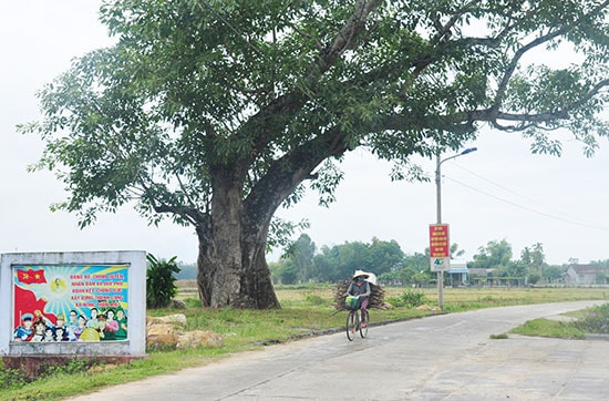 Quan điểm chỉ đạo của tỉnh là việc sáp nhập, tổ chức lại thôn, khối phố phải tôn trọng ý kiến nhân dân, các giá trị văn hóa, truyền thống, lịch sử. Ảnh: NGUYÊN ĐOAN