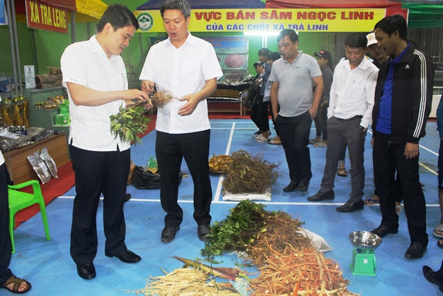 Phó Chủ tịch UBND tỉnh Trần Văn Tân tham quan phiên chợ sâm Ngọc Linh. Ảnh: HOÀNG LIÊN