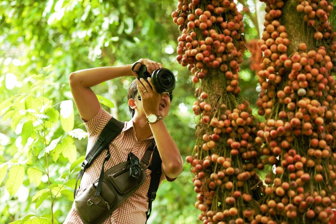 Đến mùa dâu chin, các nhiếp ảnh gia luôn tìm về các vườn dâu để săn ảnh…