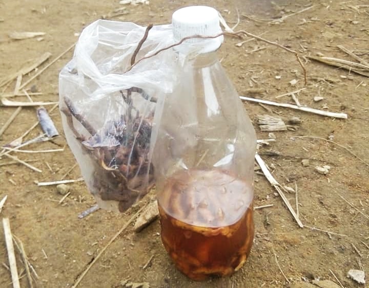 Chai rượu ngâm rễ cây lạ. Ảnh: T.T