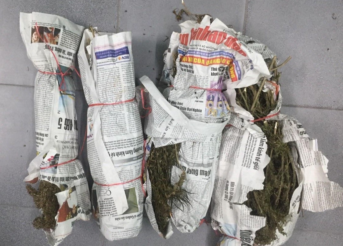 Tang vật cần sa