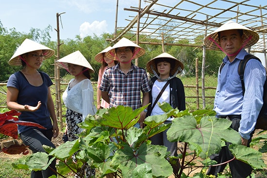 HTX Nông nghiệp Triêm Tây thuộc Làng du lịch cộng đồng Triêm Tây tạm ngưng hoạt động. Ảnh: K.L