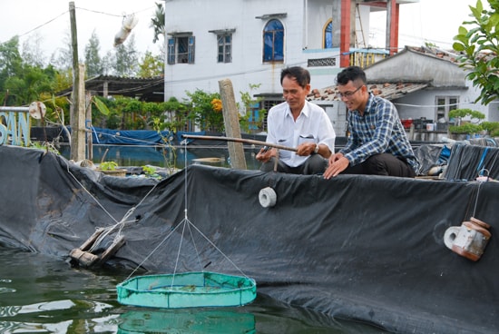 Mô hình nuôi tôm thẻ chân trắng giúp ông Hòa thu nhập gần 300 triệu mỗi năm. Ảnh: Q.P