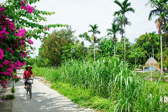 Bình yên miền quê xứ Quảng. Ảnh: PHƯƠNG THẢO